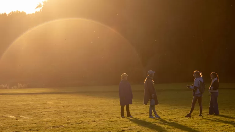 Read more about the article Things to do for teenagers in October Half Term